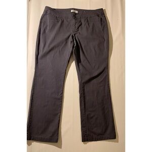 Coldwater Creek Modern Fit Pant Size 14 Petite